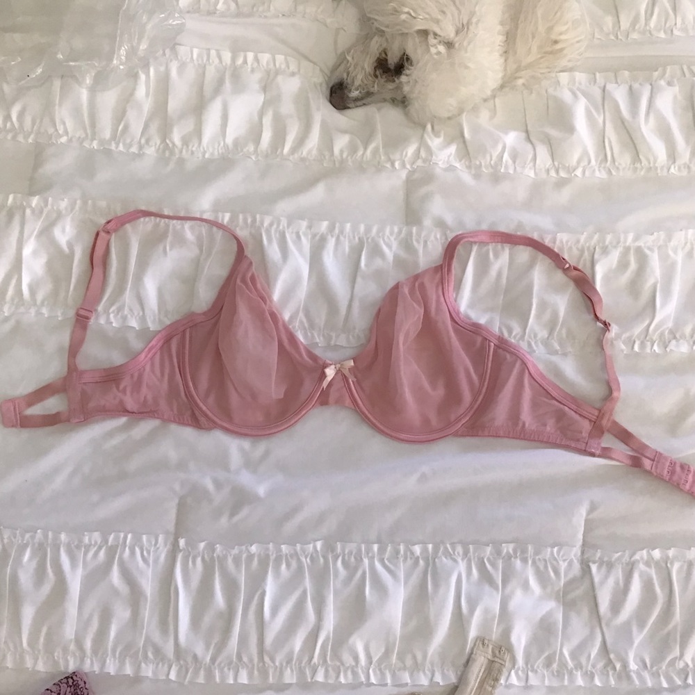 Victoria’s Secret sexy sheer bra size 36D underwire Pink See Through